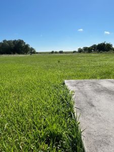 Kmv Lawn Care Llc (1)