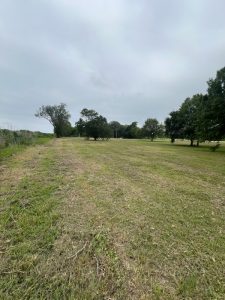 Kmv Lawn Care Llc (10)